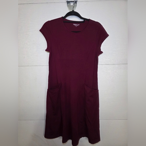 Coldwater Creek Dresses & Skirts - Coldwater Creek Burgundy Mini Dress